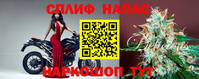 ALPHA PVP Коммунар